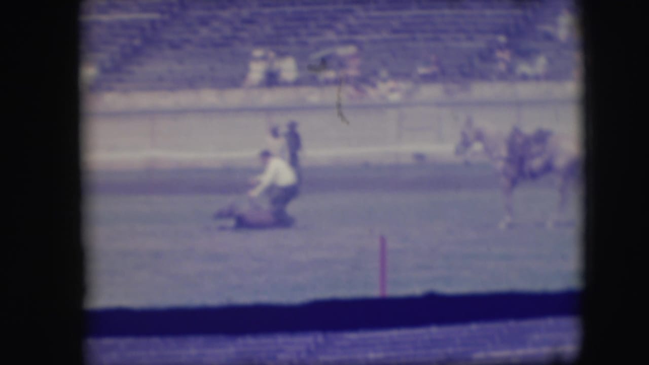Rodeo rider in a light shirt leans from a horse near an animal on the arena ground.