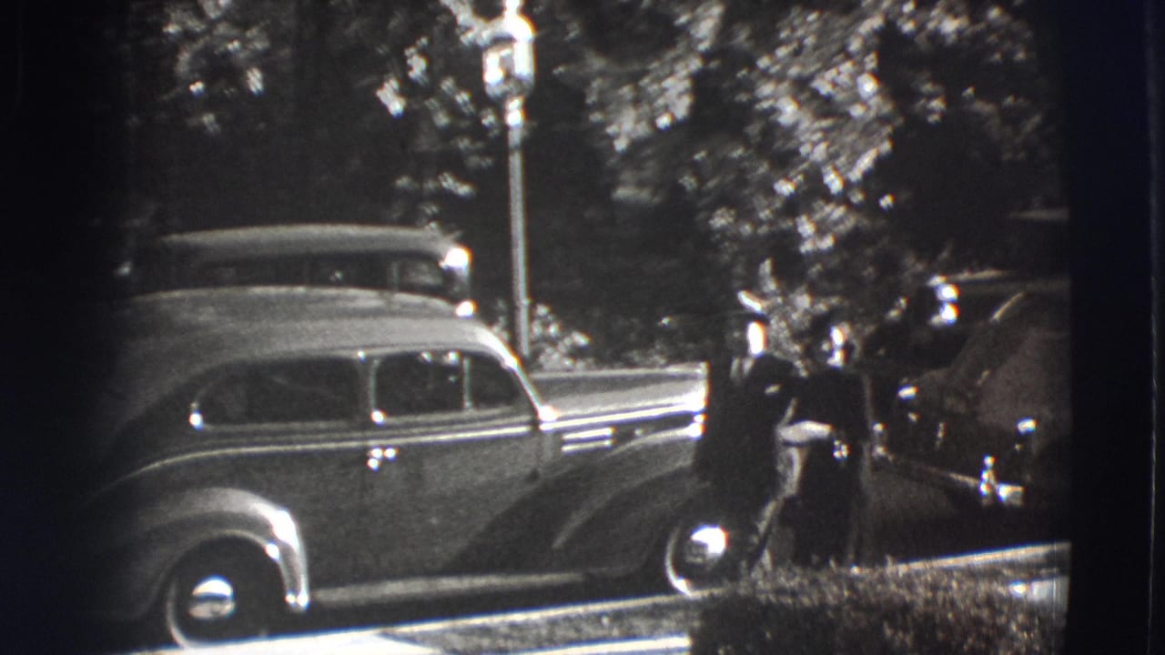 A well-dressed man and woman stand near a parked sedan on a tree-lined street.