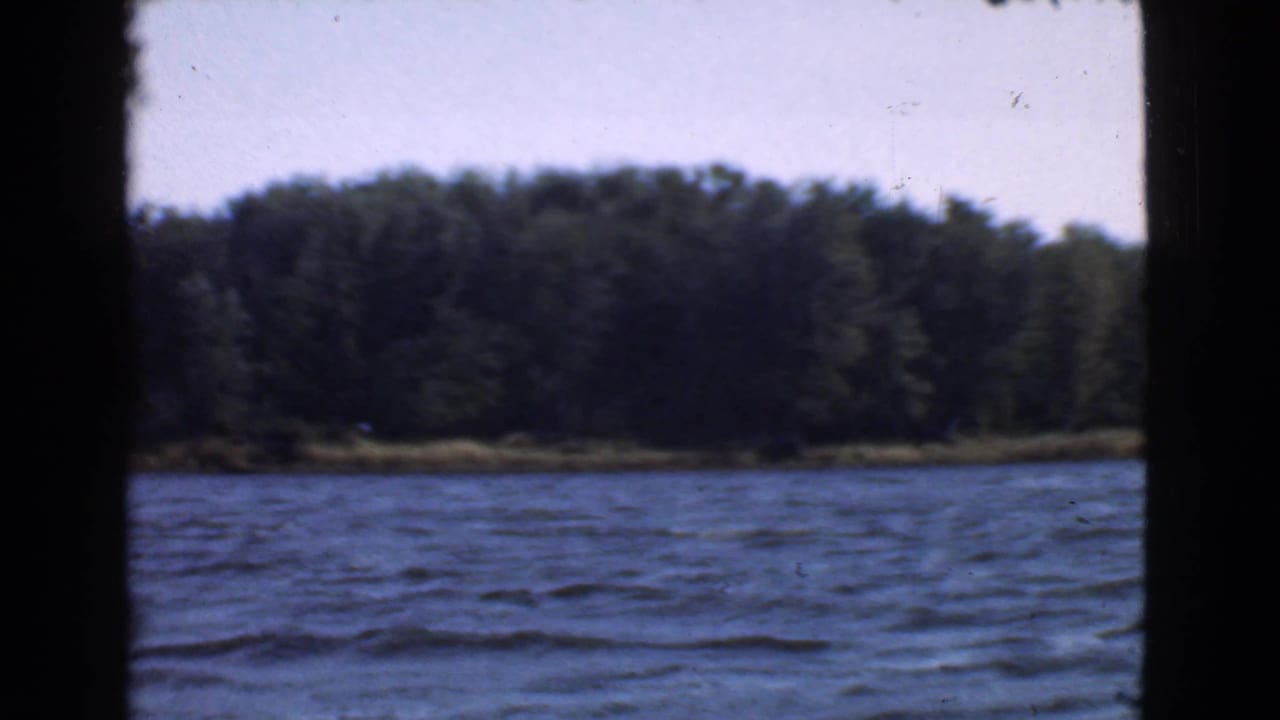 Wooded shoreline across blue water under a bright pale sky.