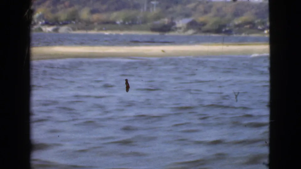 1946 Quebec 8mm frame showing water from a moving boat, a pale sandbar, and trees along the far bank.