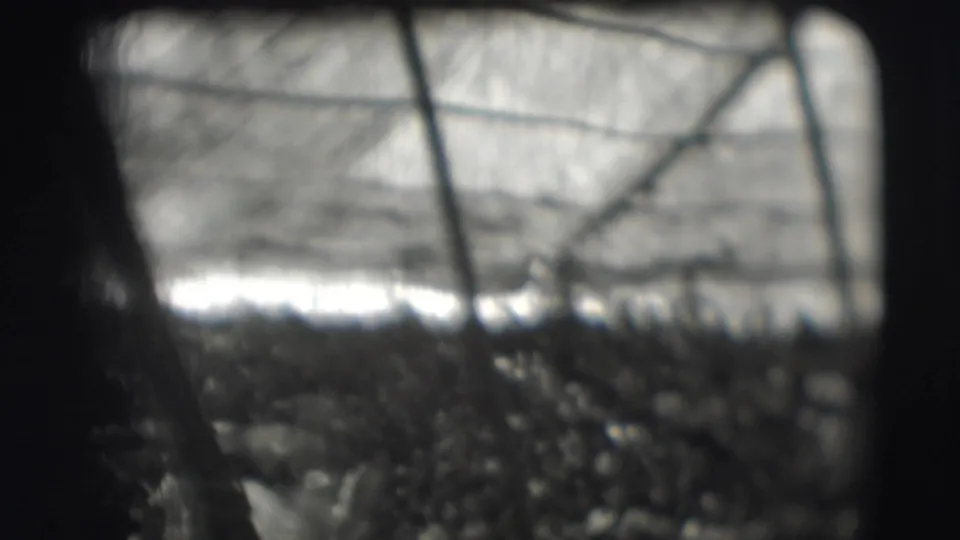 1948 Sarasota home-movie frame, per metadata, showing an obscured bright gathering through mesh or netting with no identifiable faces.