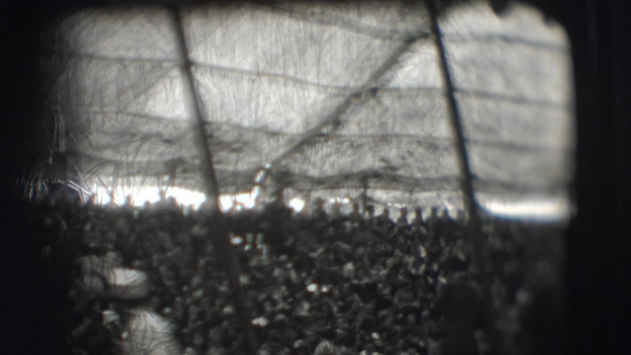 Backlit distant gathering seen through mesh with a dark vertical strip at the center.