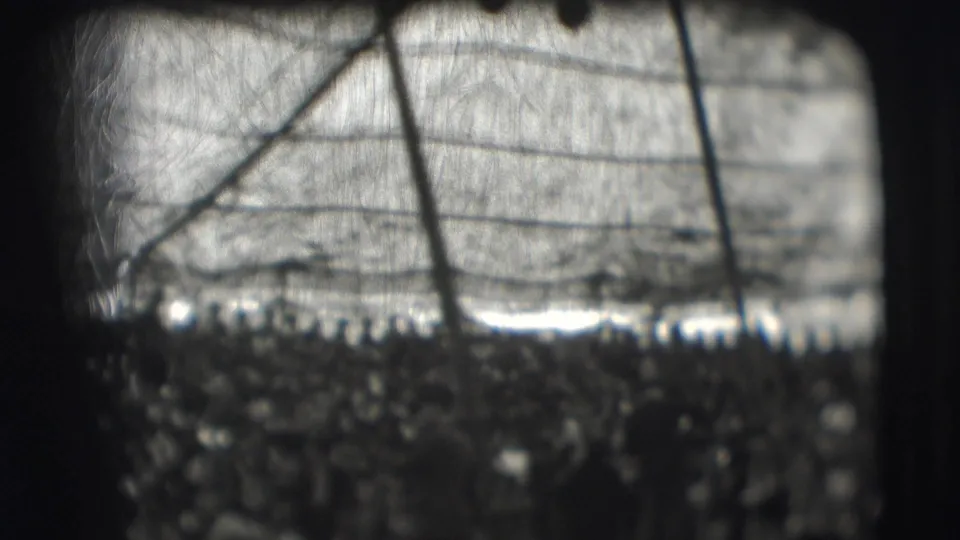 Obscured 1948 Sarasota home-movie frame showing mesh, strong backlight, and distant public activity without identifiable people.