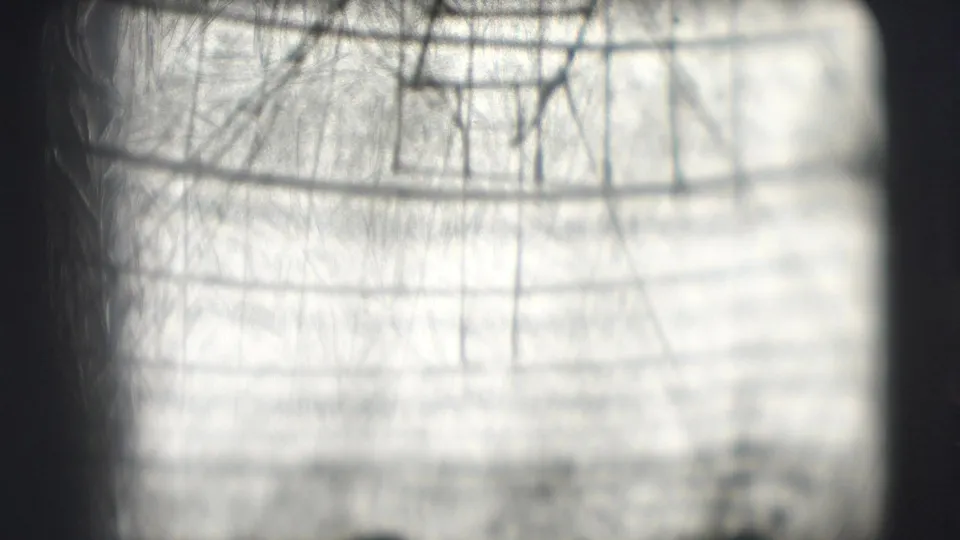 Soft, overexposed 1948 8mm frame from the Sarasota-linked reel showing bare branches and indistinct parade-area structures.