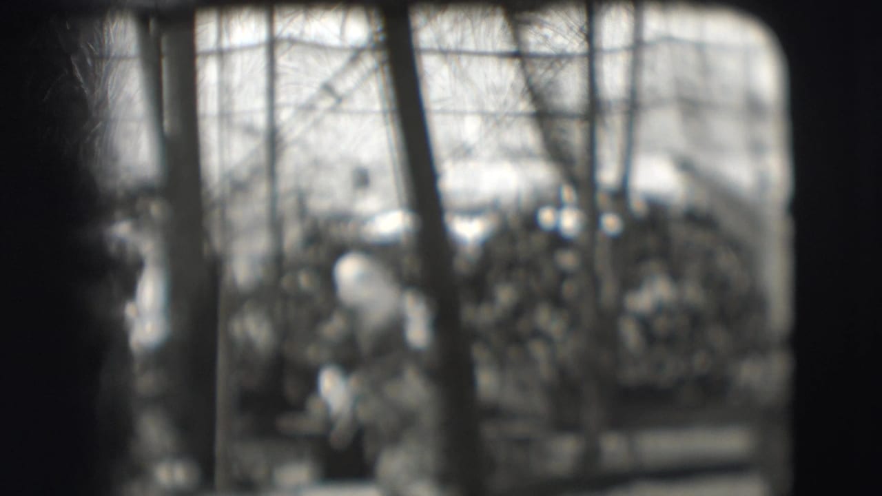 A blurred performer with a feathered headpiece stands near a line of similarly dressed figures.