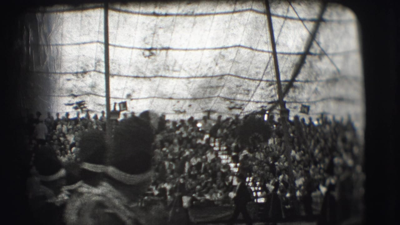 Audience members watch a crowded circus arena from the stands.