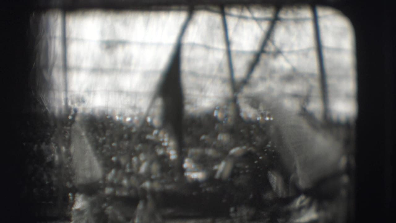 Blurred tent view with a tall pointed hat and audience seating in the background.