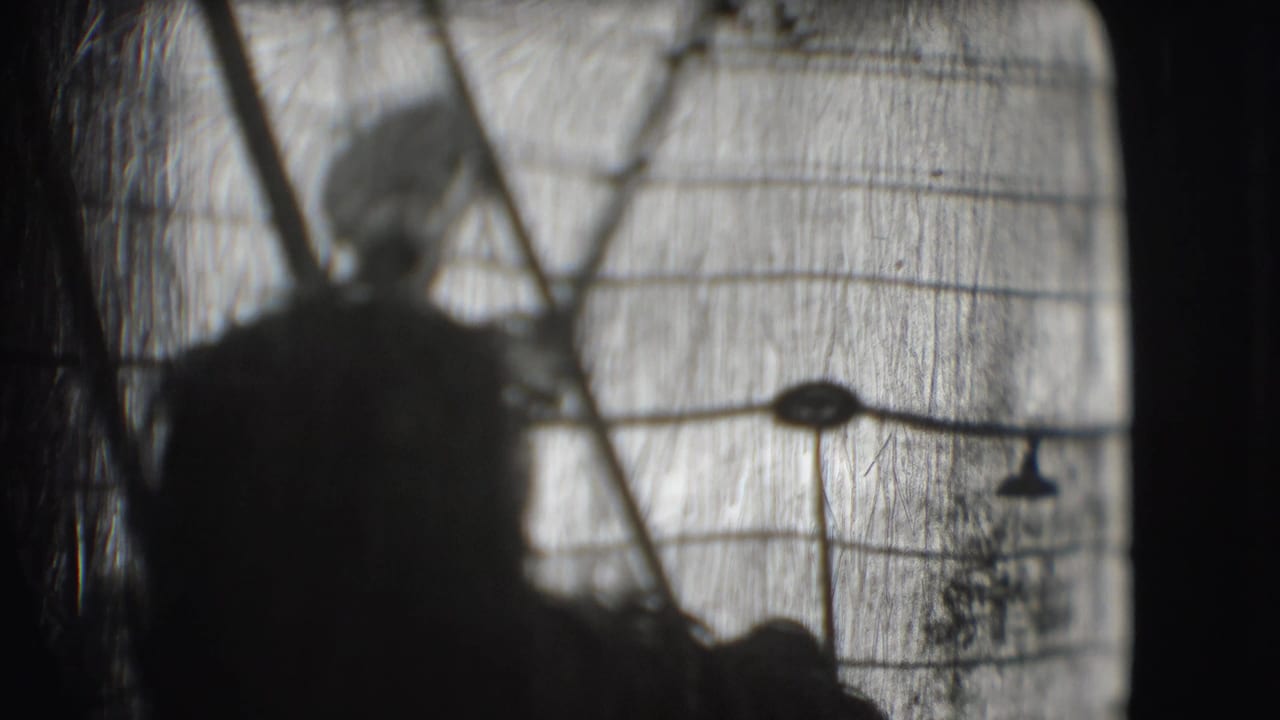 Silhouetted performer or animal shape behind a patterned tent or screen structure.