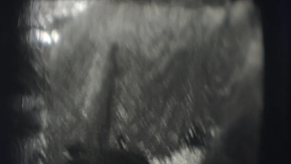 Soft, blurred 8mm frame from the circus performance with indistinct movement and bright blown highlights.