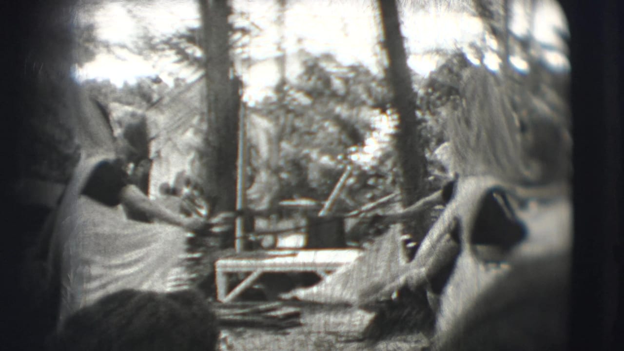 Peacock near trees and enclosure rails with visitors partly visible at the left edge.