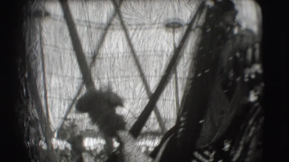 A dark peacock shape stands behind diagonal branches or enclosure fencing in the 1948 circus grounds footage.