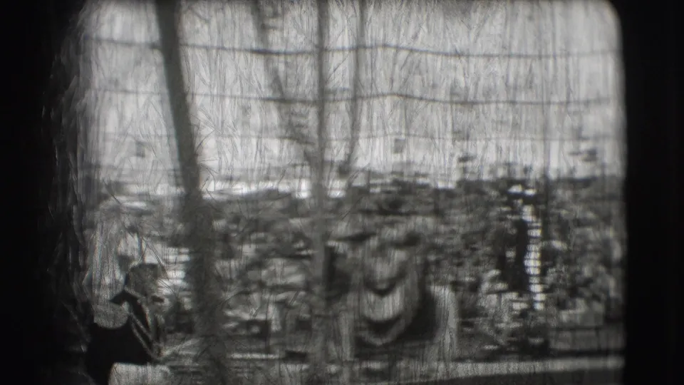 An 8mm view from the circus ring shows elephants moving past a low barrier as spectators watch from the stands.