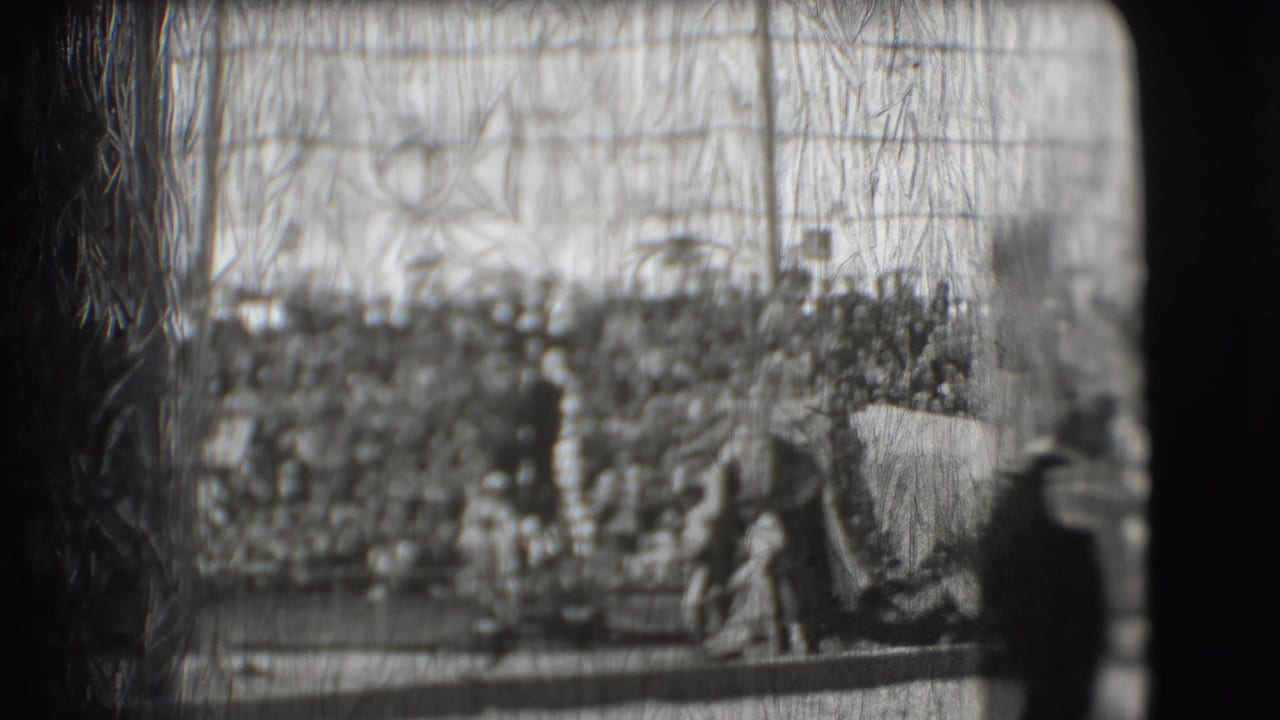 Soft black-and-white view of a circus ring with an elephant and a crowded grandstand behind it.