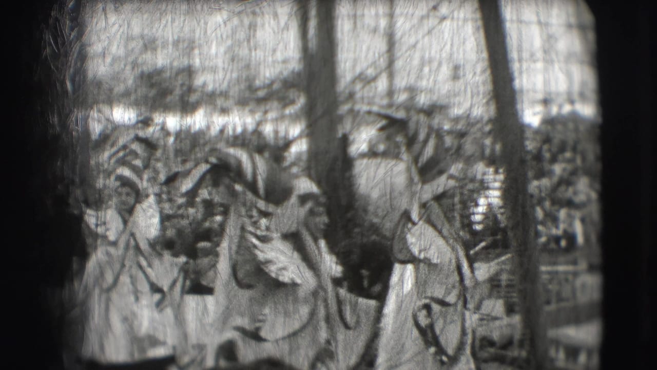 Costumed circus performers and an animal act in front of a large audience.
