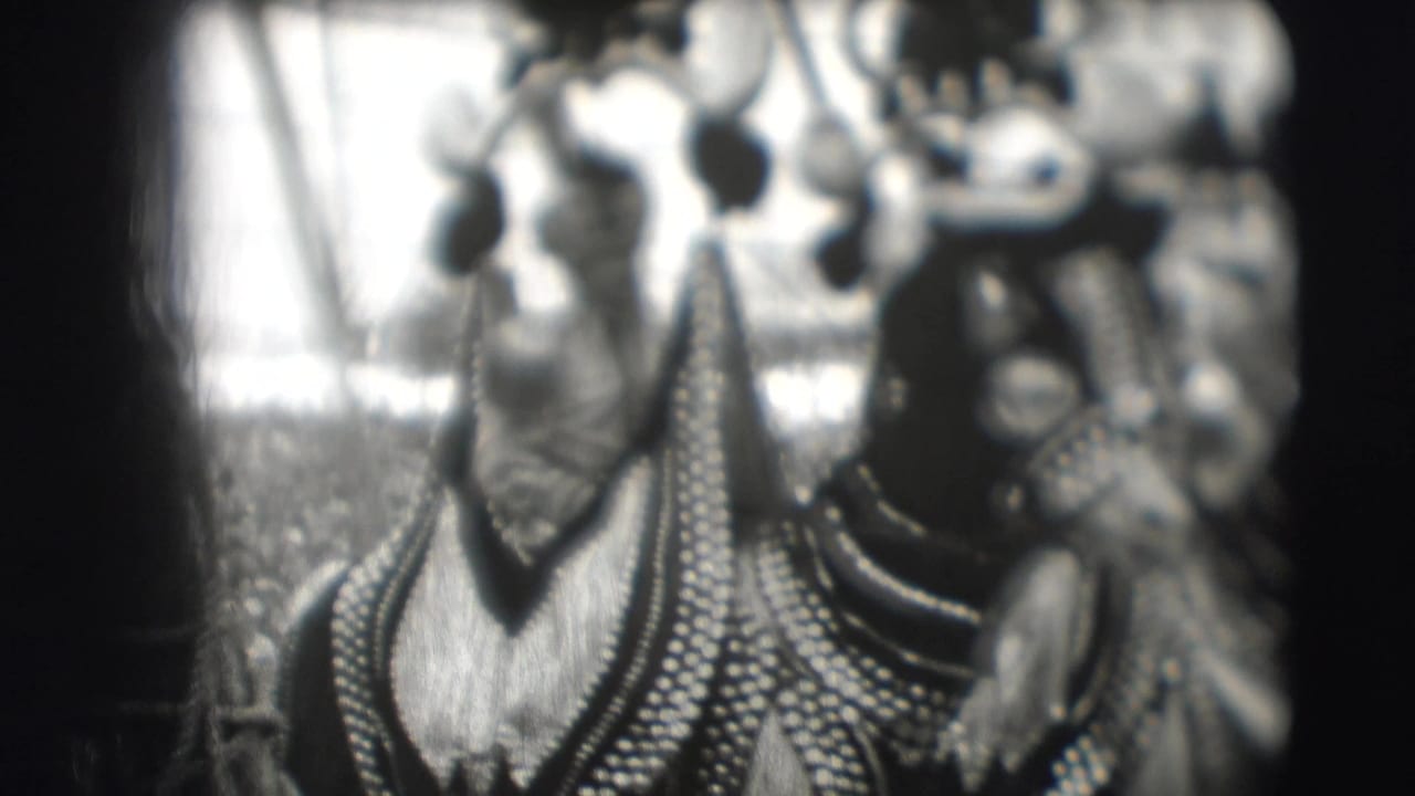 Decorated elephant seen close up with a rider blurred above in a circus tent.