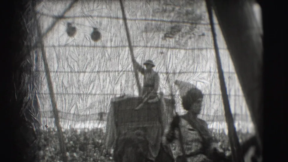 A performer stands on an elephant under tent rigging during the Sarasota Ringling Brothers circus footage, with a second figure at right.