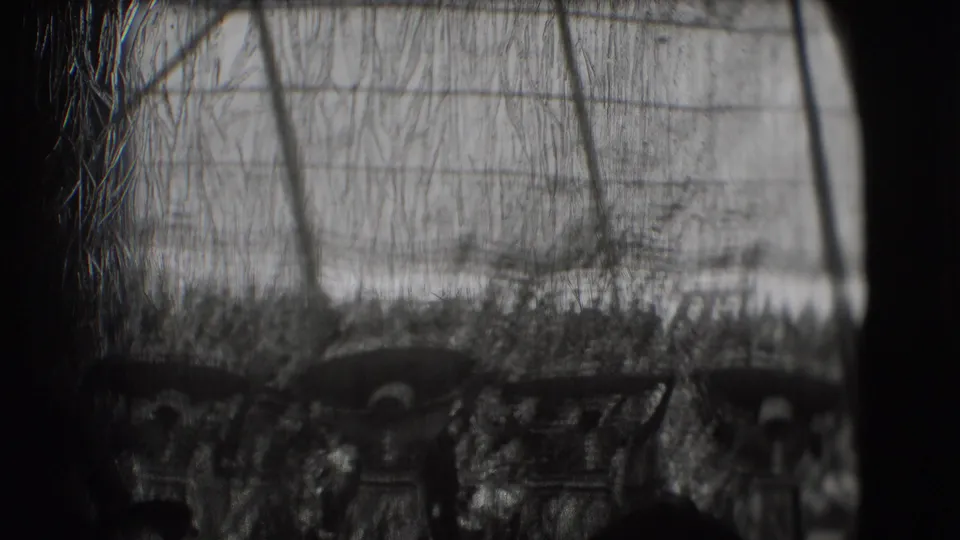 The final frame looks down toward the parade route, with an elephant and several people partly obscured by mesh and film wear.
