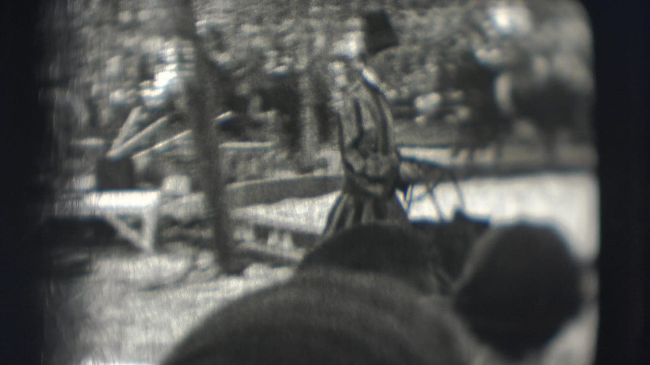 Performer and bear appear in the ring with audience heads in the foreground.