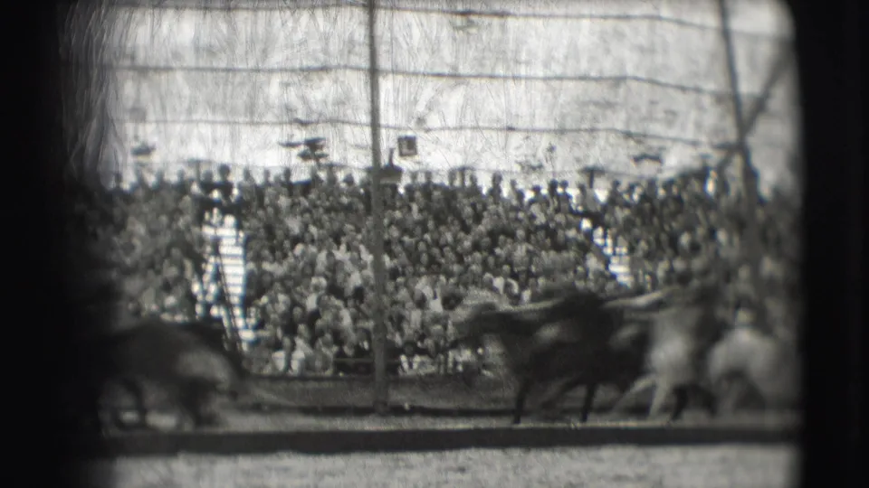 A wide 1948 Sarasota circus view shows a seated audience behind horses and riders moving through the ring.