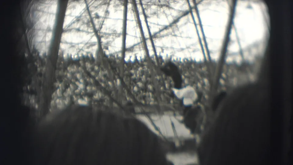1948 Sarasota circus footage shows a dense audience across the ring, framed by poles and foreground heads.
