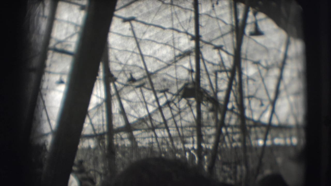 Tree branches and dark foreground shapes frame a distant outdoor circus area.