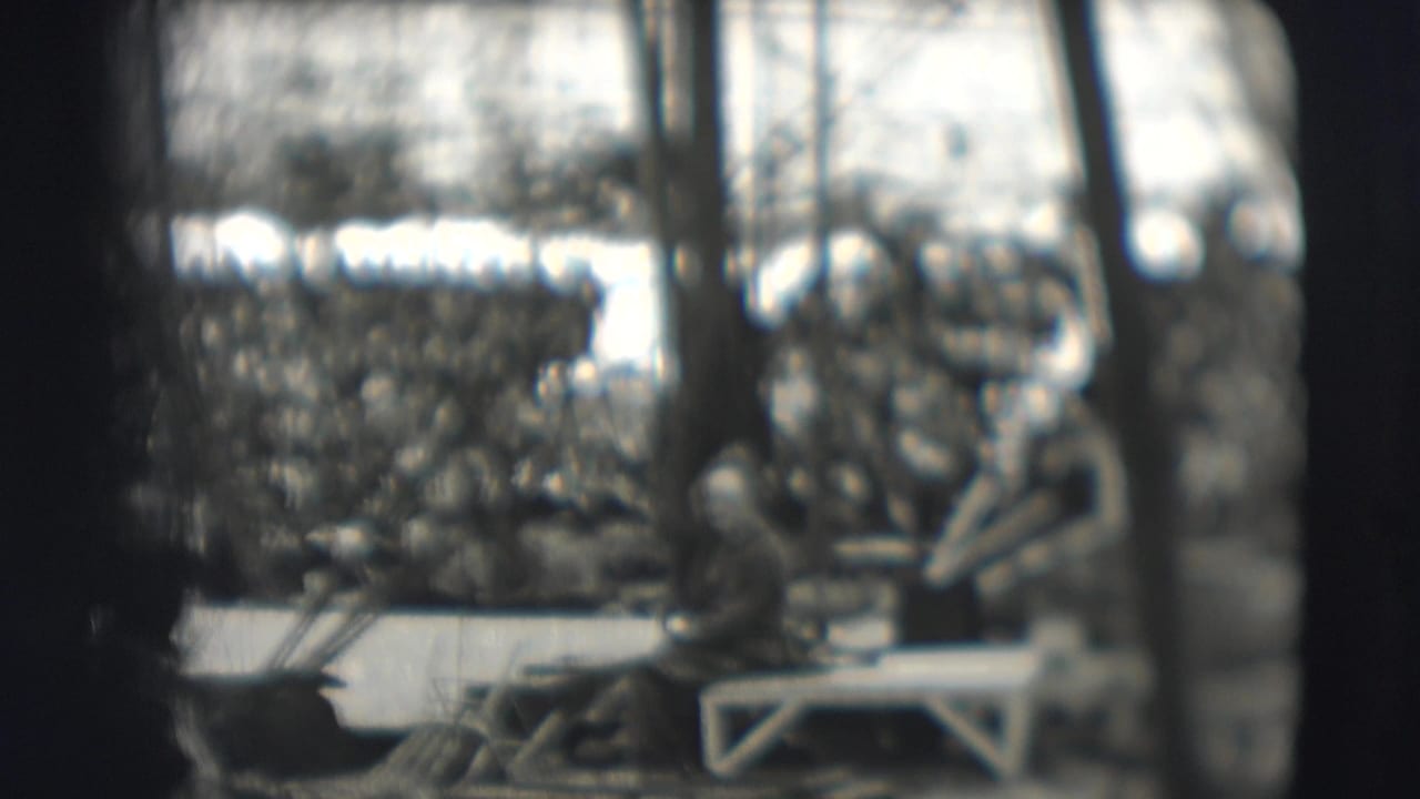 Crowded bleachers and circus ring structures are seen through soft focus.