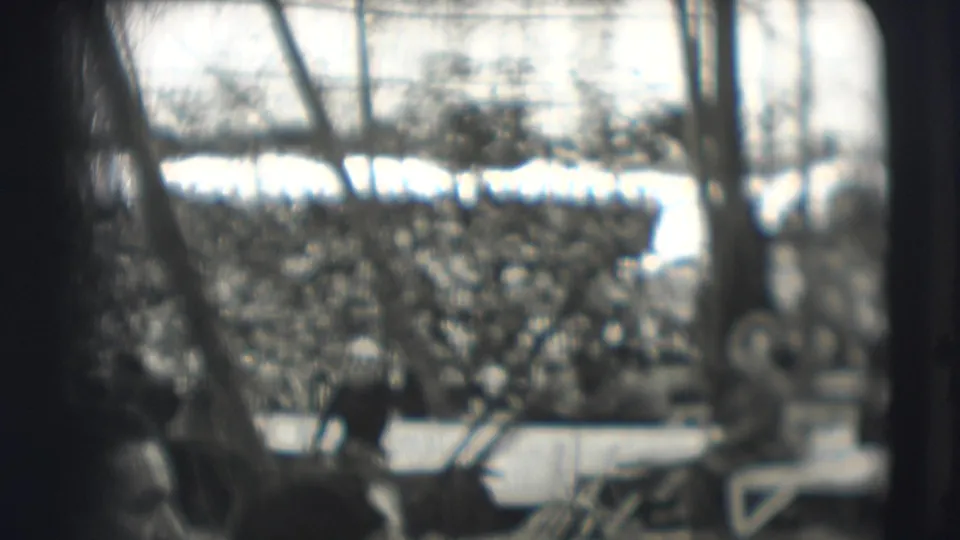 The clip shows a large circus crowd in Sarasota behind trees, poles and low ring structures, with the frame softened by 8mm motion blur.