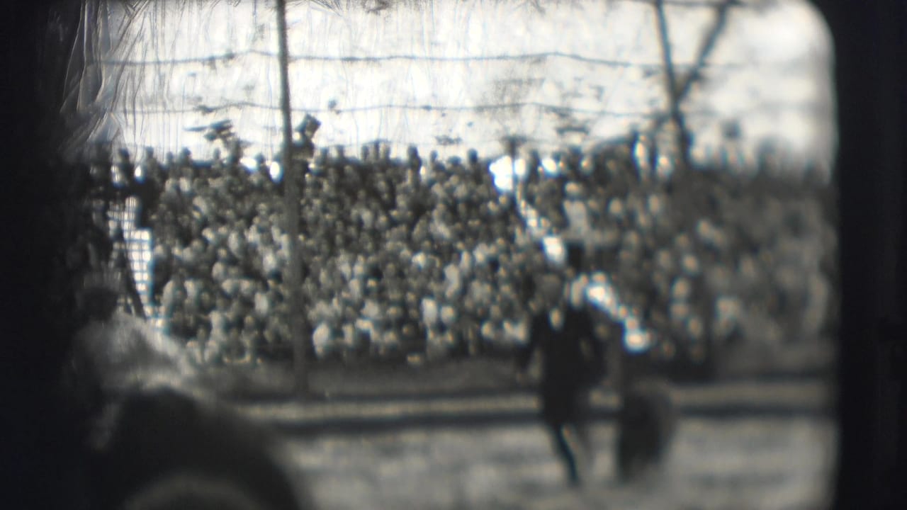 Performer and bear moving across a circus ring before a crowded seated audience.