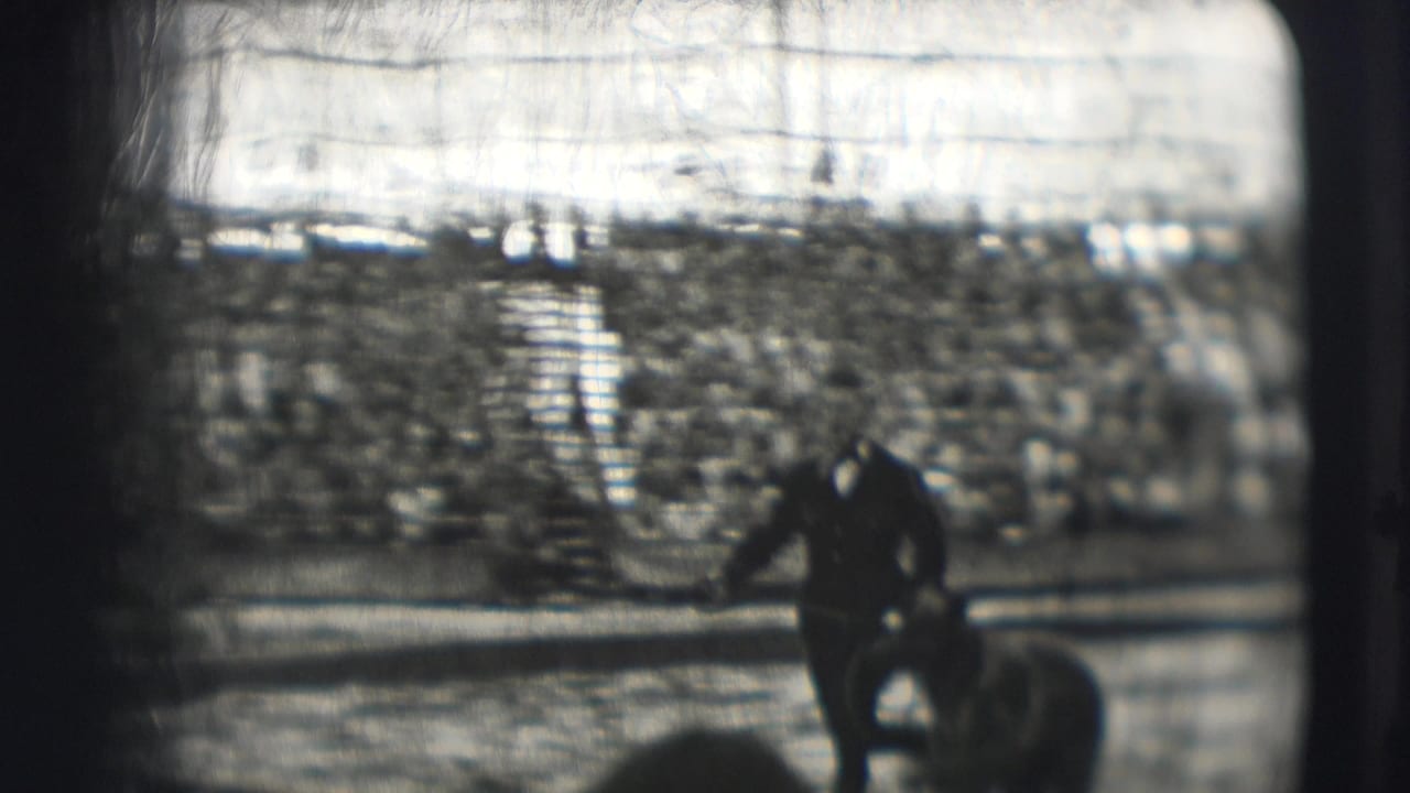 Dark-clad performer near a bear with a large audience seated behind them.