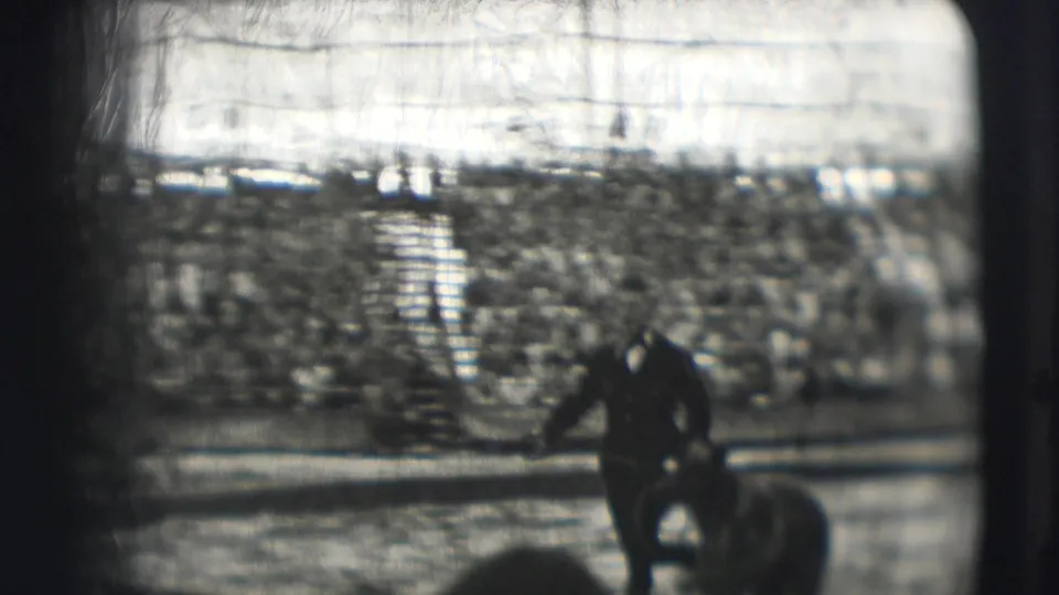 Ringling Brothers Sarasota home-movie frame with a performer beside a bear and rows of spectators in the background.