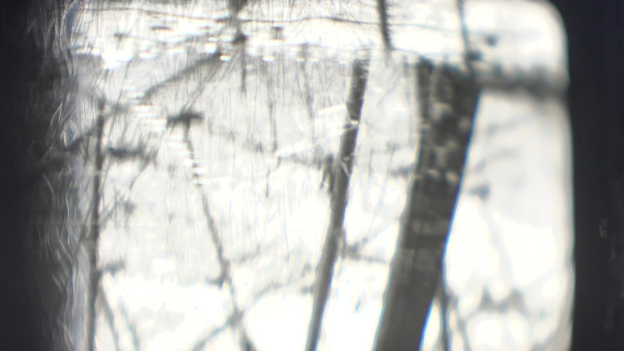 The camera tilts upward inside the Sarasota circus tent, showing canvas, rigging lines, and dark vertical supports.