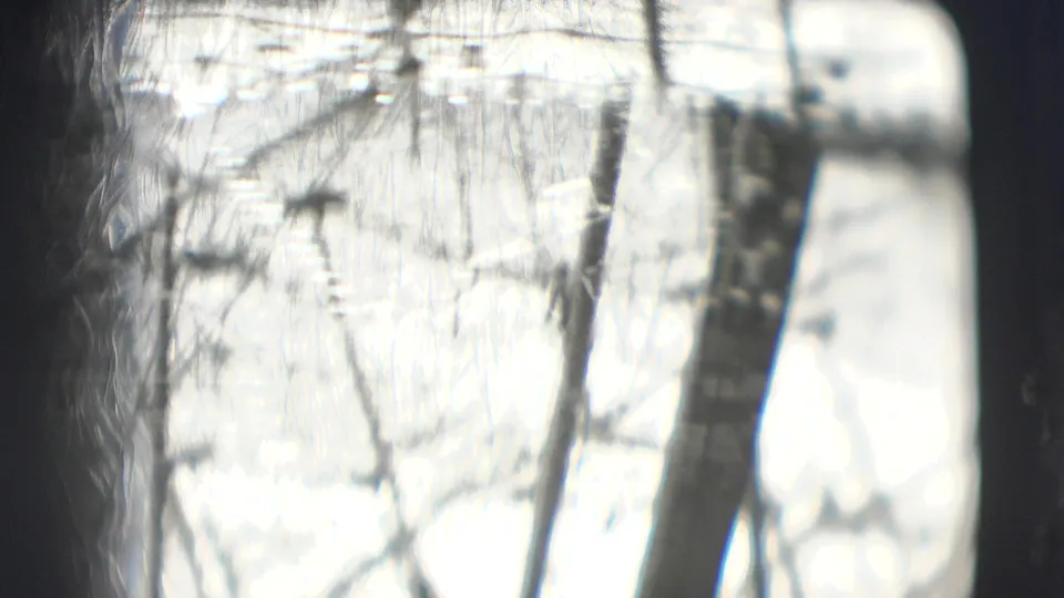 The camera tilts upward inside the Sarasota circus tent, showing canvas, rigging lines, and dark vertical supports.
