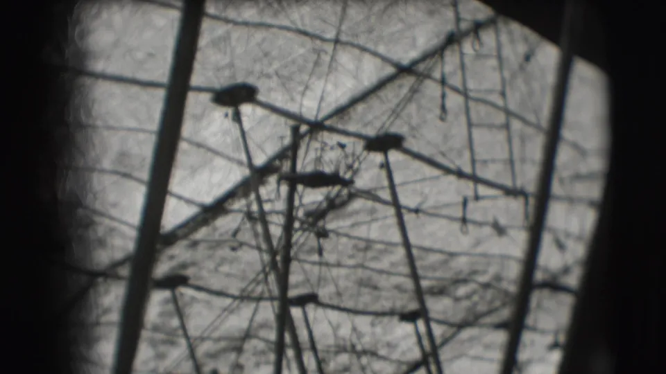 1948 Sarasota big top view with trapeze-like rigging, poles, and a performer silhouette in the lower portion.