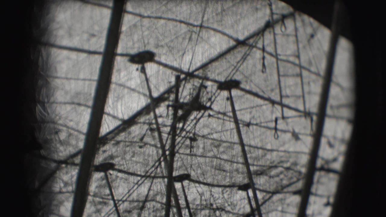 High-wire rigging and tent poles seen in soft black-and-white film.