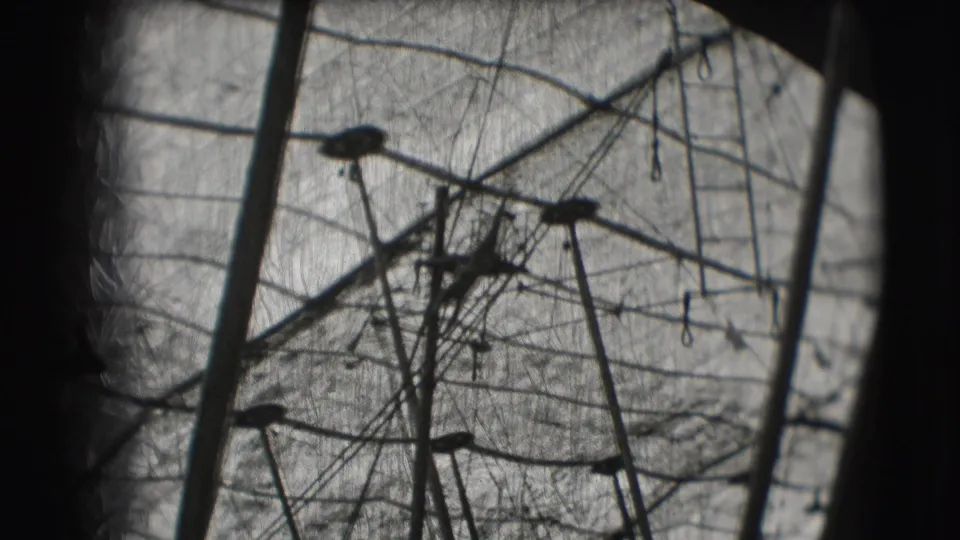 1948 Sarasota circus footage shows high-wire rigging and tent poles, with a small silhouetted performer form near the ropes.