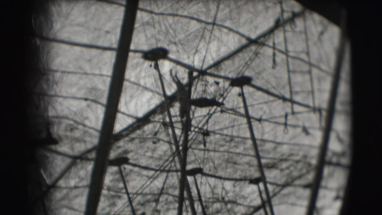 A distant acrobat silhouette appears among high-wire rigging inside the Ringling Brothers Sarasota circus tent in 1948 footage.