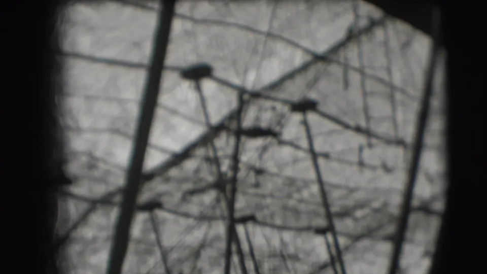 Soft-focused 1948 8mm frame shows circus tent poles and high-wire rigging from below in Sarasota.