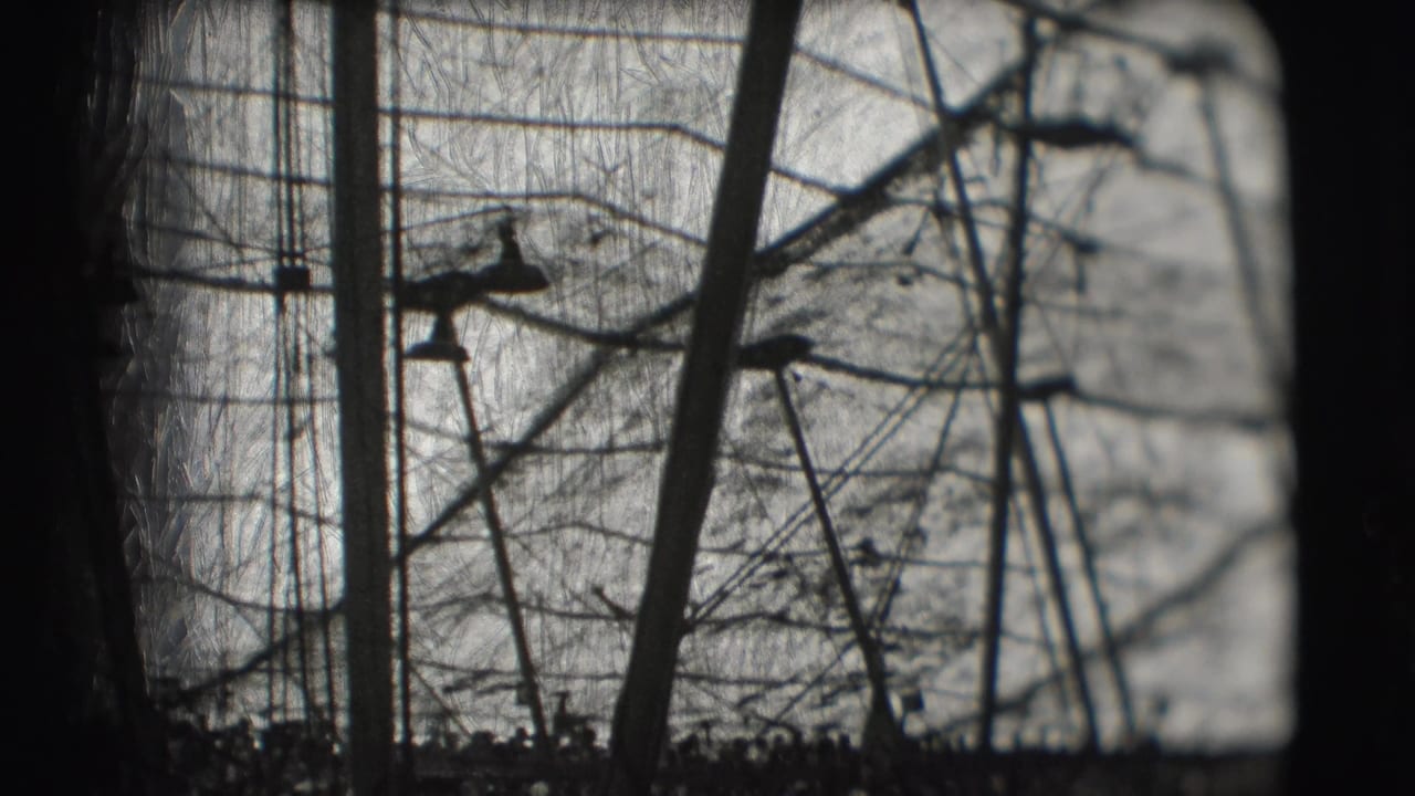 Distant black-and-white view of a circus aerial performer balanced among high wires and support poles in Sarasota, 1948.