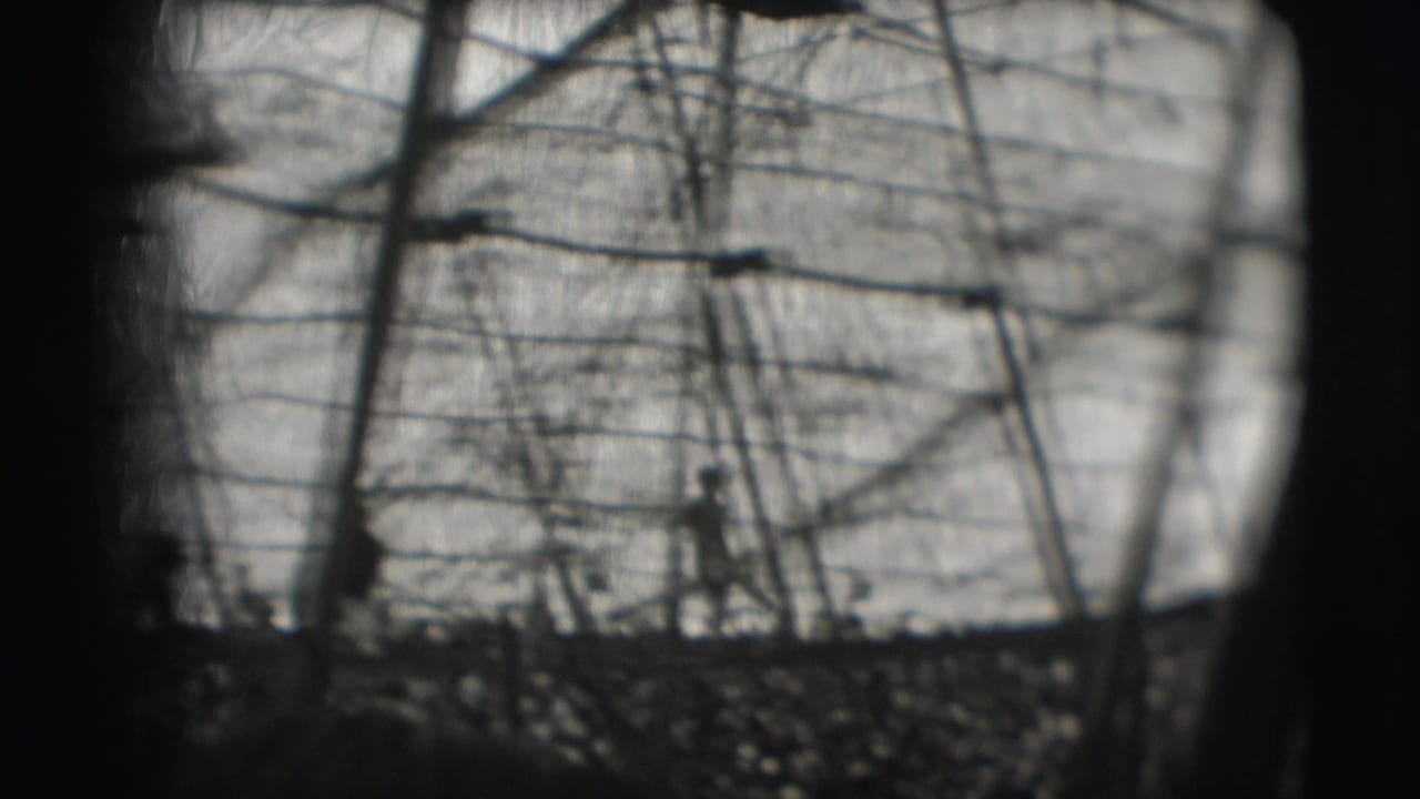 1948 Ringling Brothers Sarasota footage shows a distant silhouetted man amid ropes, poles, and bare branches on an outdoor obstacle course.