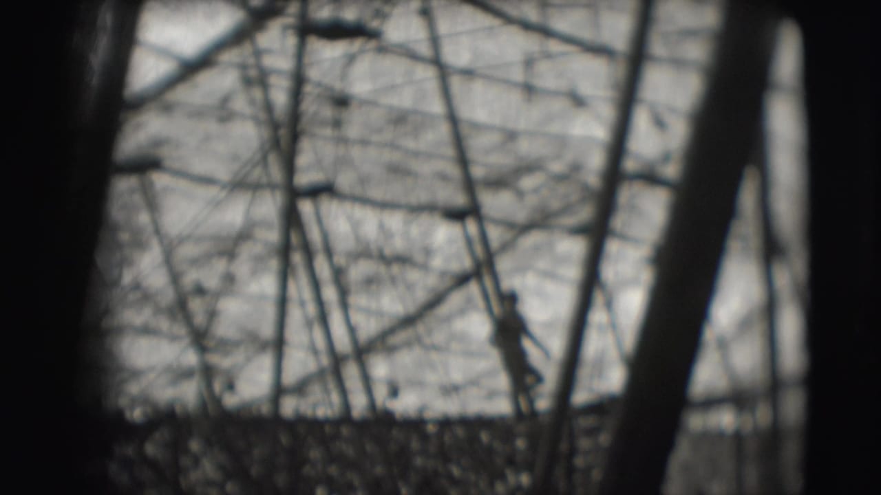 Silhouetted figure hangs or moves near ropes and poles against a bright sky and trees.
