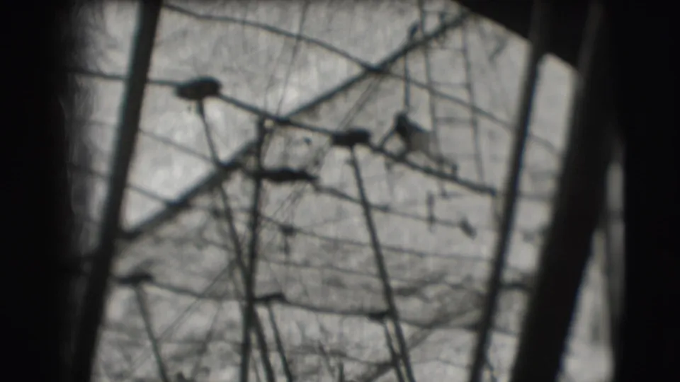 The final frame shows a distant figure within the rope obstacle structure, partly obscured by tree trunks and 8mm frame edges.