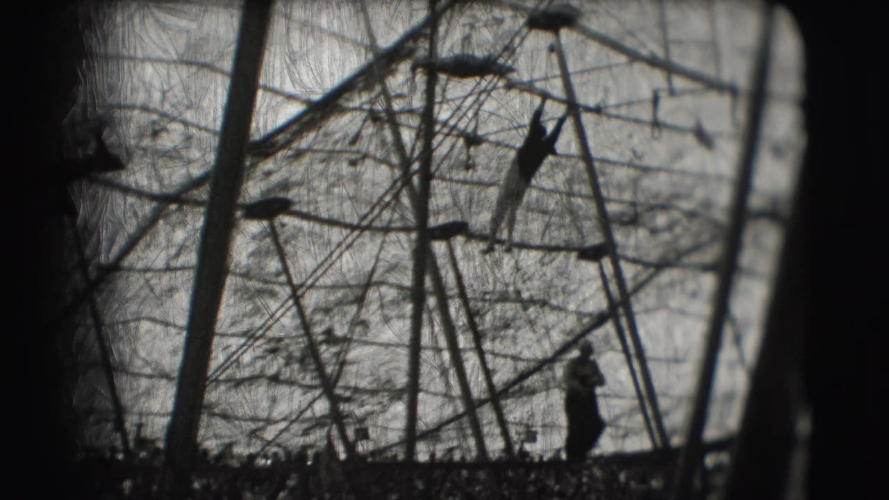 Silhouetted performer standing below a web of circus rigging and poles.