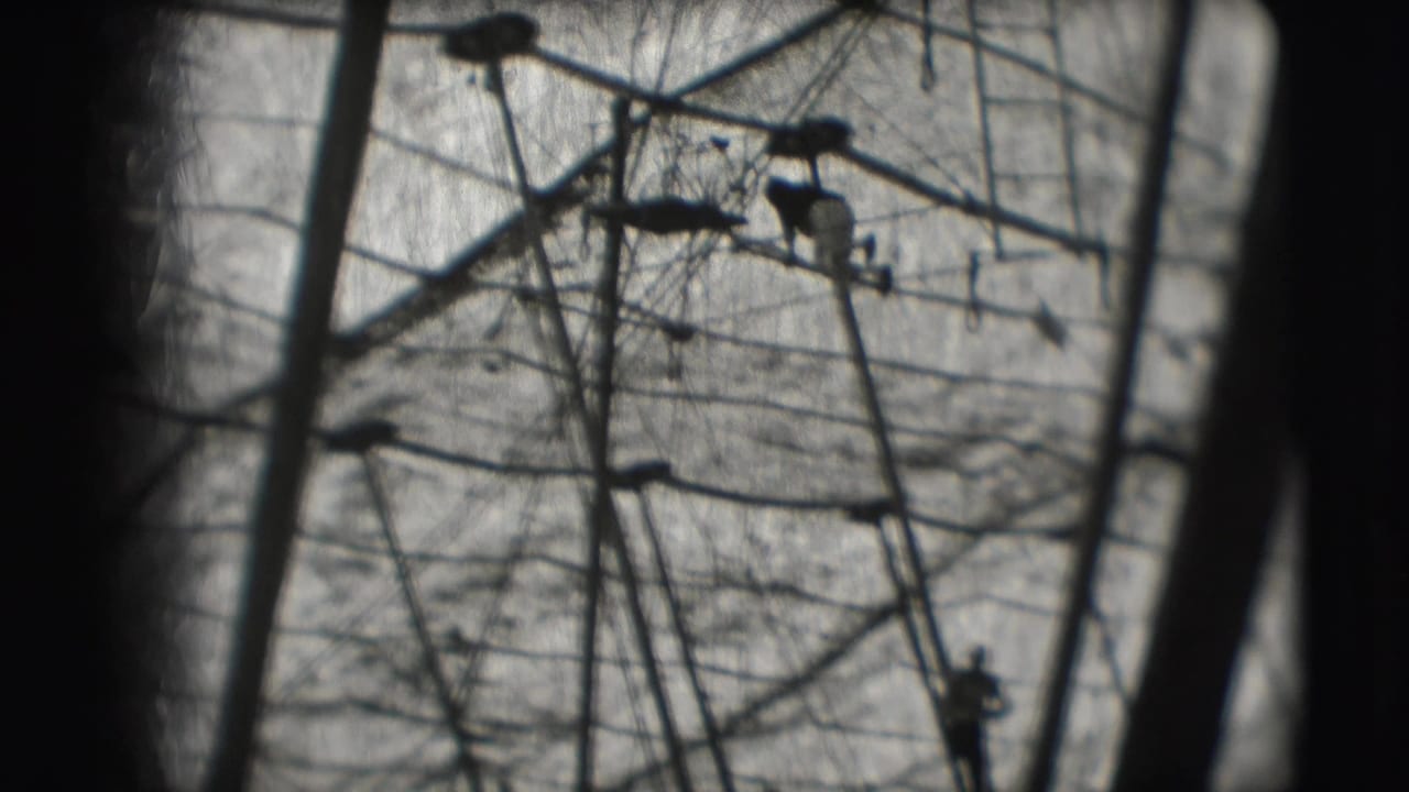 Black-and-white 1948 Sarasota circus view showing distant acrobats or workers on elevated rigging against a bright sky.