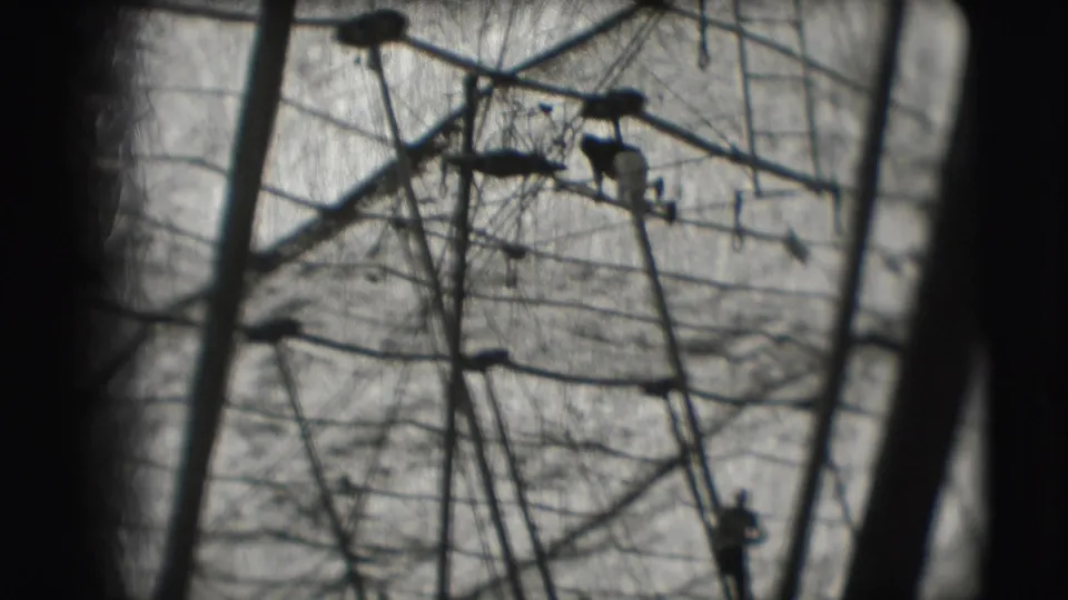 Black-and-white 1948 Sarasota circus view showing distant acrobats or workers on elevated rigging against a bright sky.