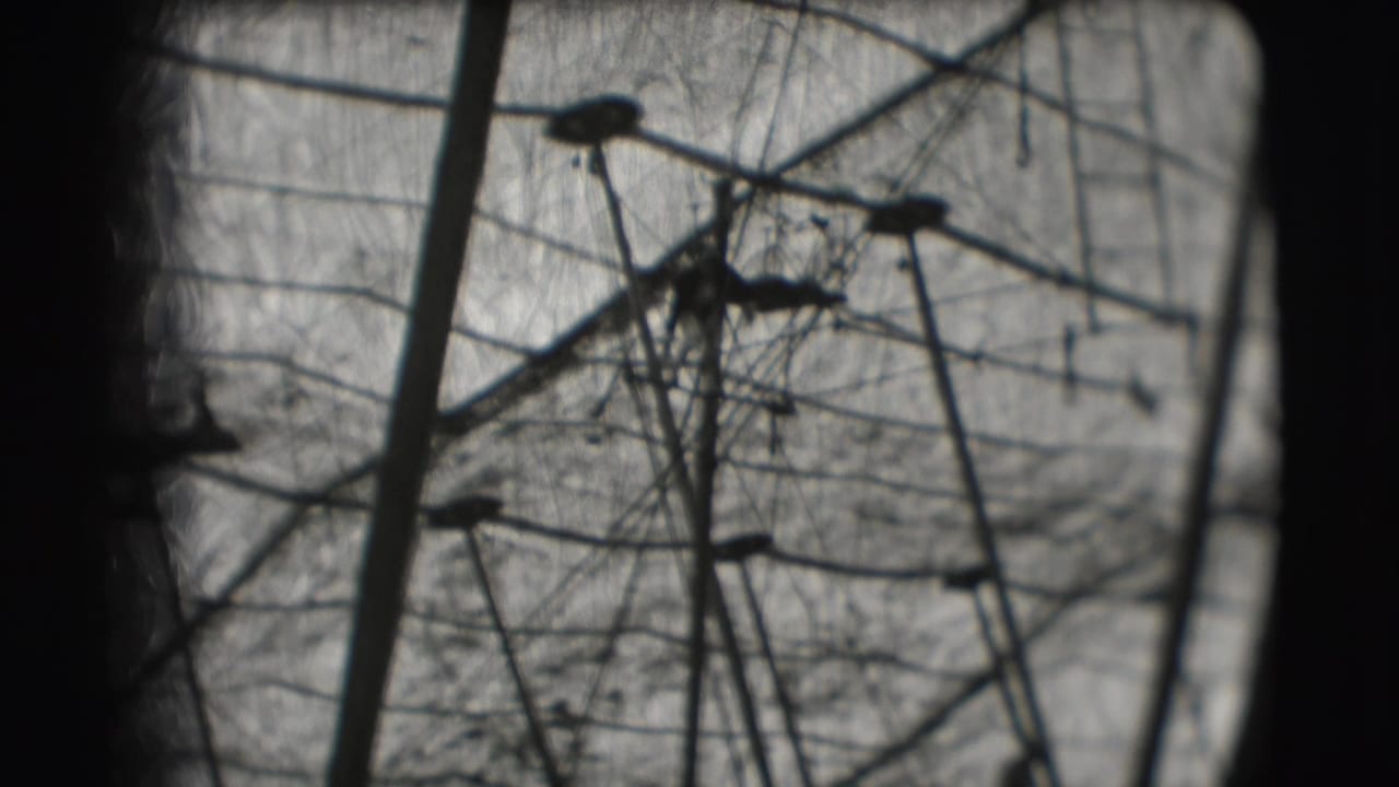 Silhouetted circus rigging and a small aerial performer inside a tent-like structure.