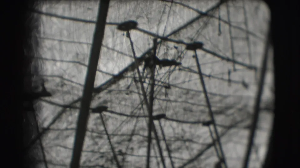 1948 Sarasota circus footage shows a tiny silhouetted acrobat high among wires, poles, and tent canvas.