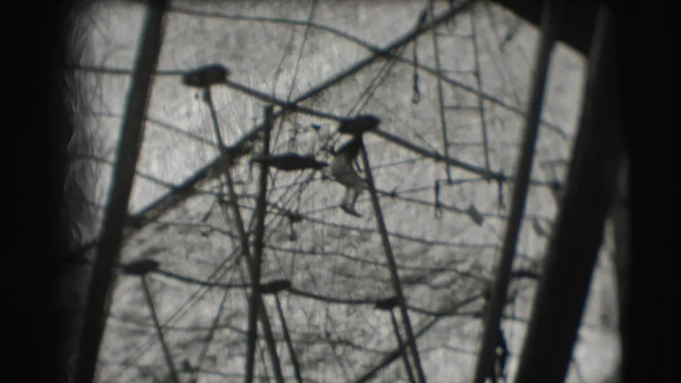 A silhouetted aerial performer is visible among the wires and poles inside the Ringling Brothers Sarasota tent setting.