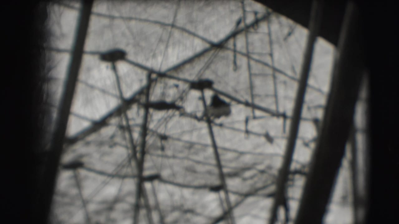 Small acrobat silhouette among circus rigging and netting in a dark-edged 8mm frame.