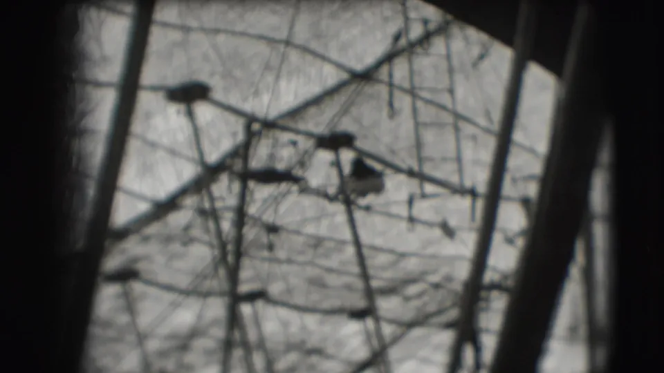 1948 Ringling Brothers Sarasota home-movie frame showing a small acrobat silhouette within ropes, poles, and netting.
