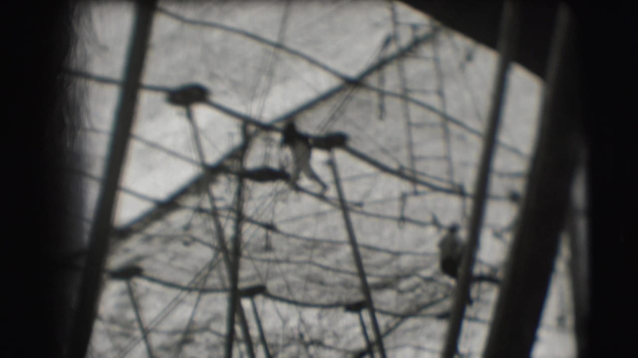 1948 Sarasota circus footage shows a small acrobat form near upper rigging, with ropes and poles filling the frame.